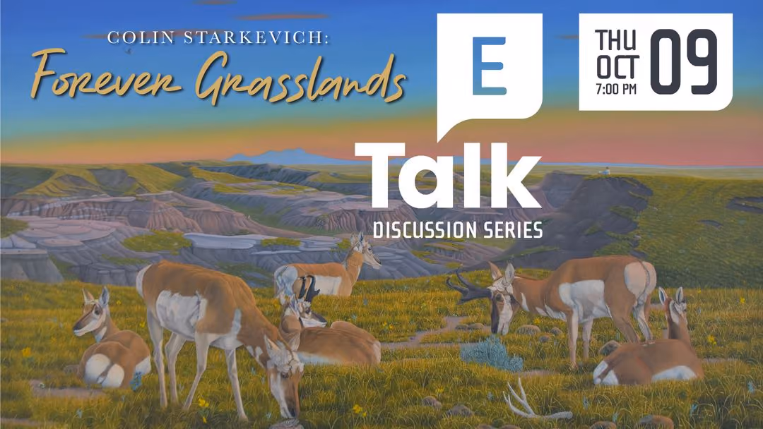 E-Talk: Forever Grasslands