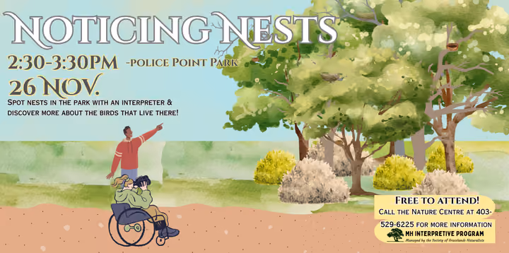 Noticing Nests Walk
