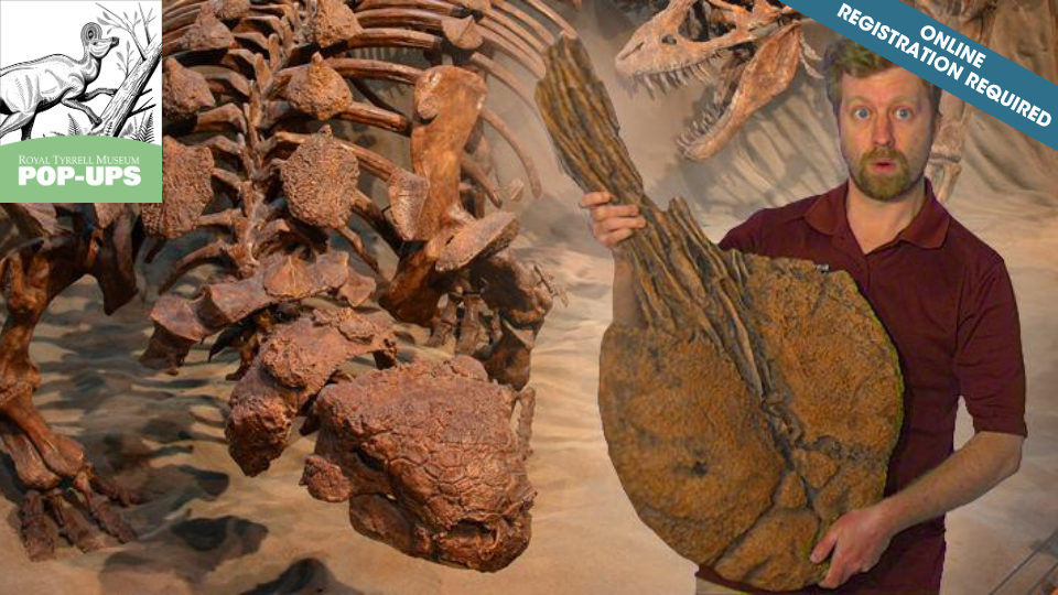 Dino Safari I Nov. 29 (ages 4-6 years)