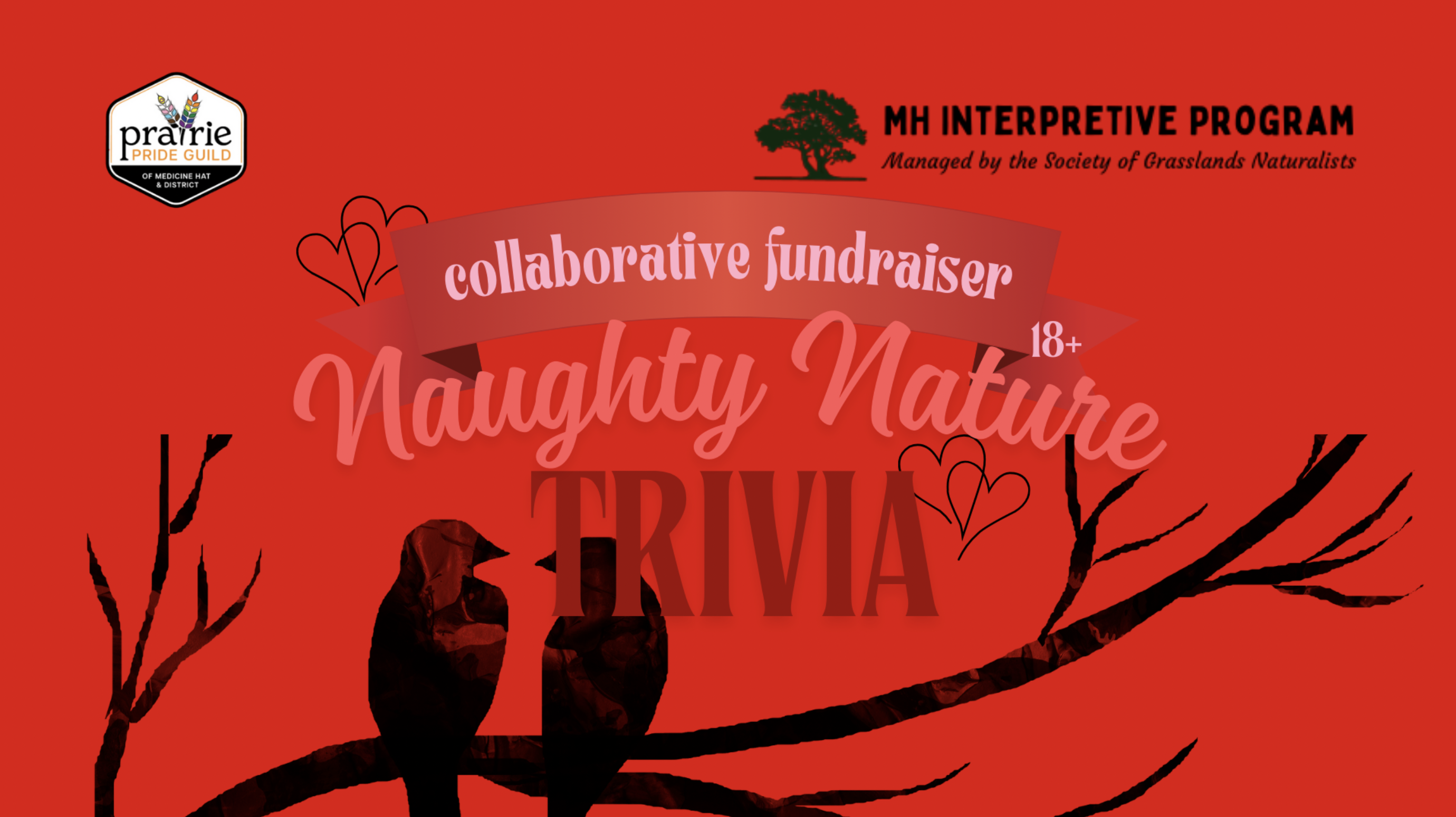 Naughty Nature Trivia: Feb 7, 2026