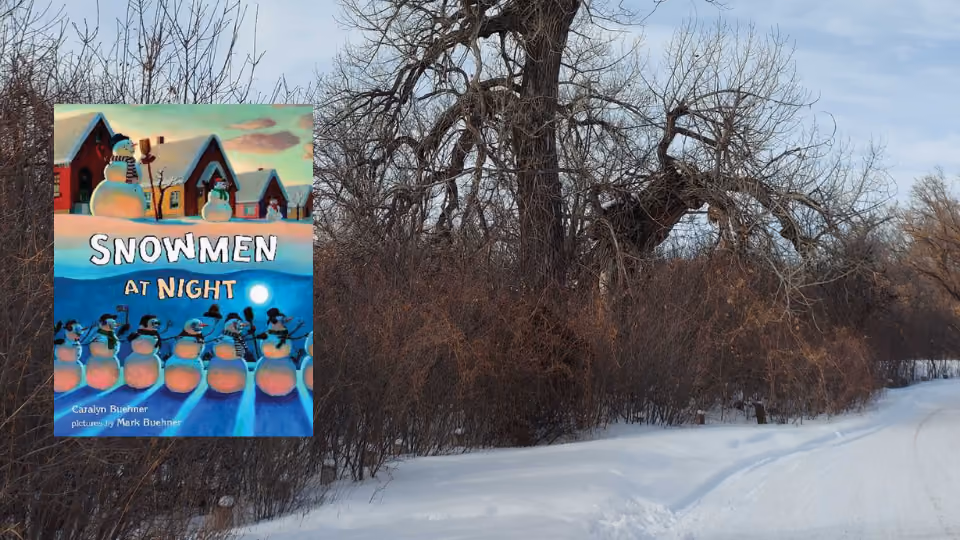 Winter Storywalk
