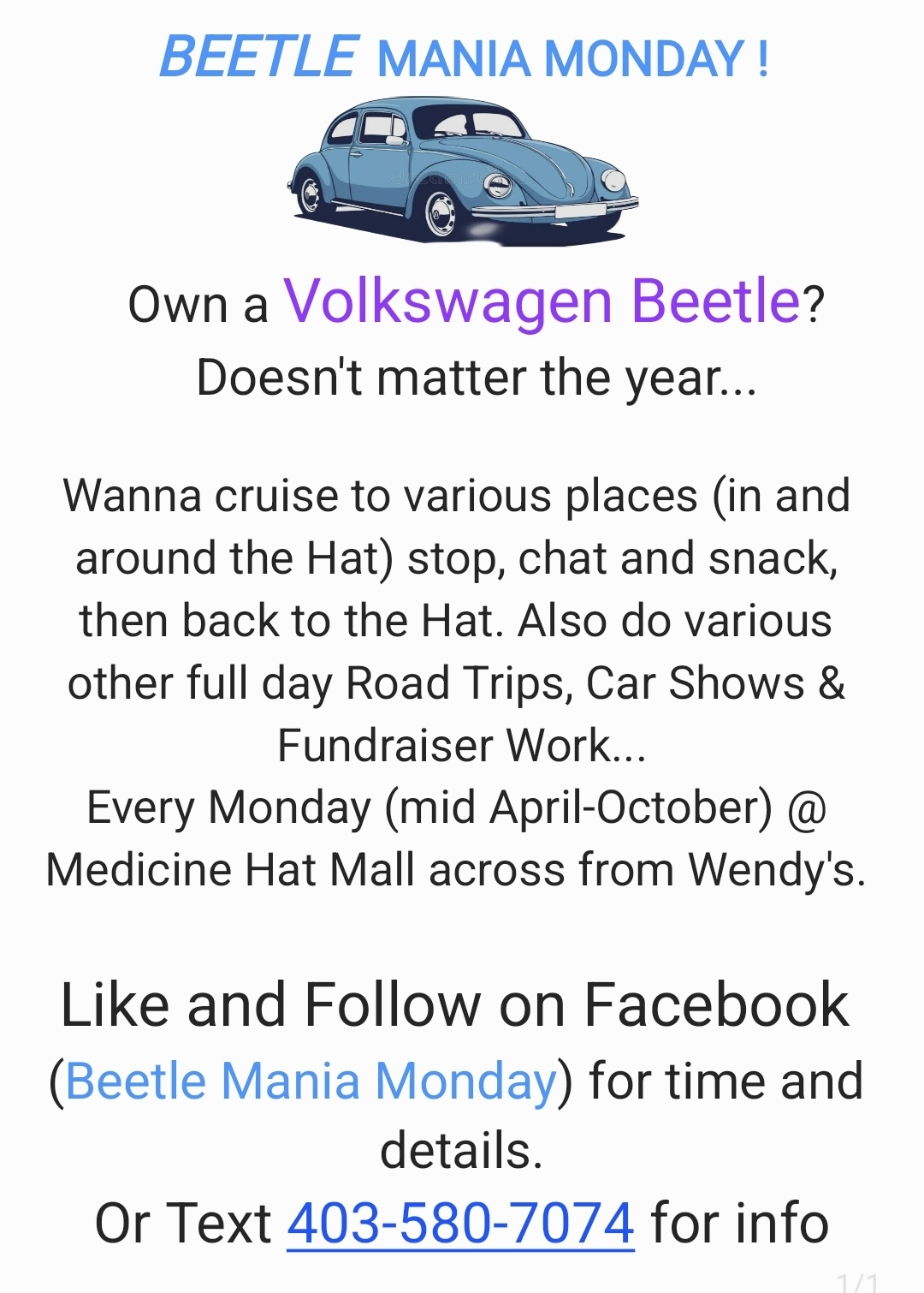 Beetle Mania Monday '26