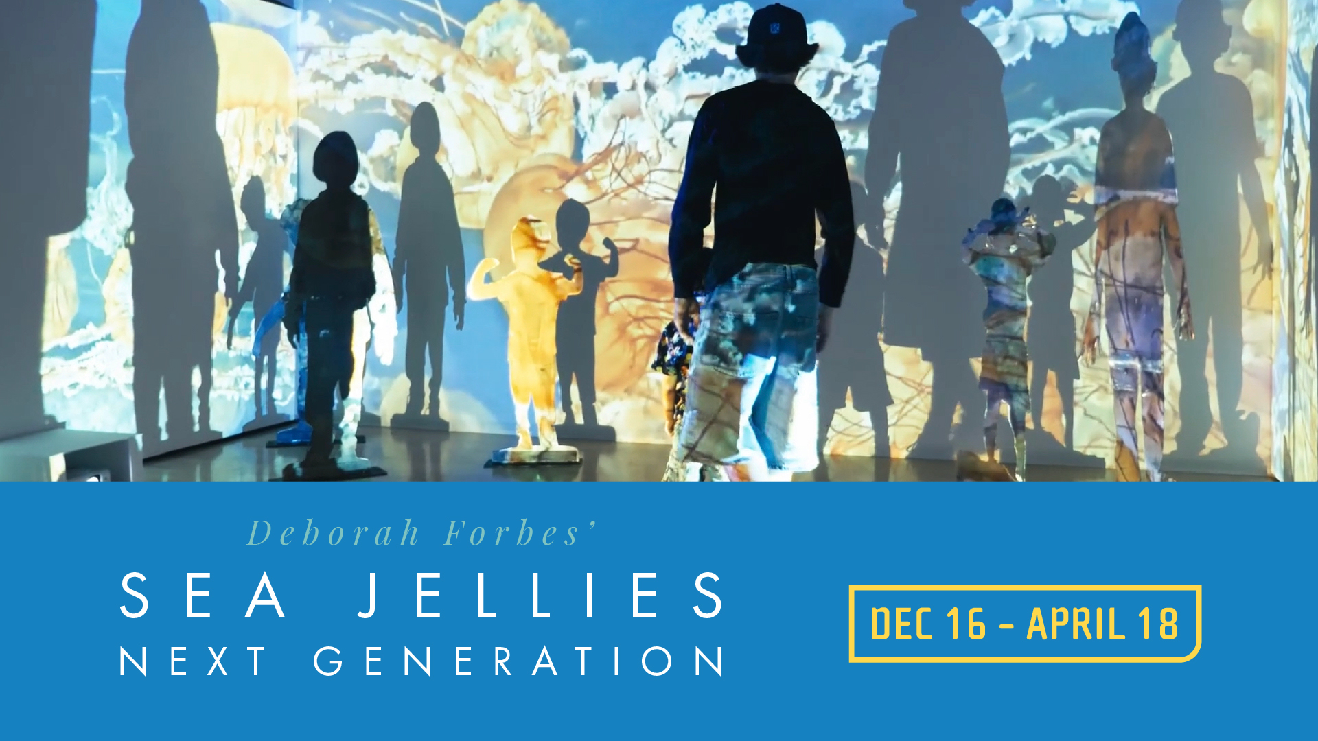 Sea Jellies: Next Generation by Dr. Deborah Forbes