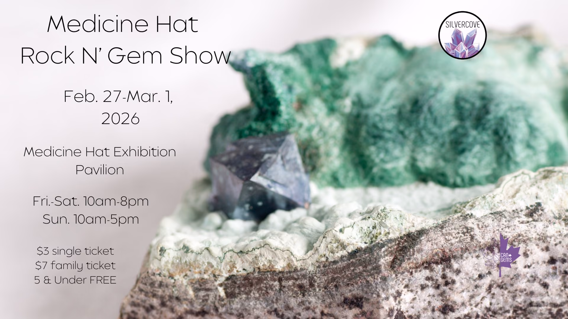 Medicine Hat Rock n' Gem Show '26