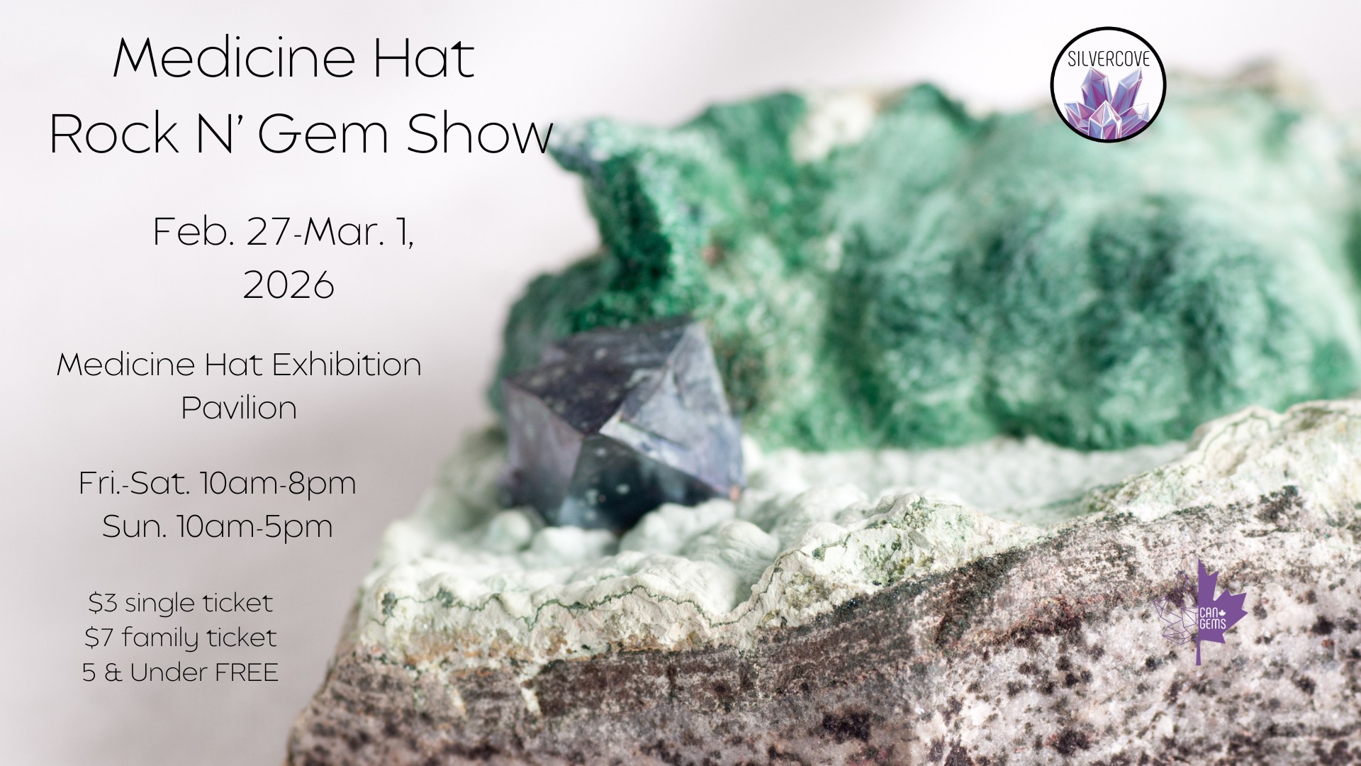 Medicine Hat Rock n' Gem Show '26