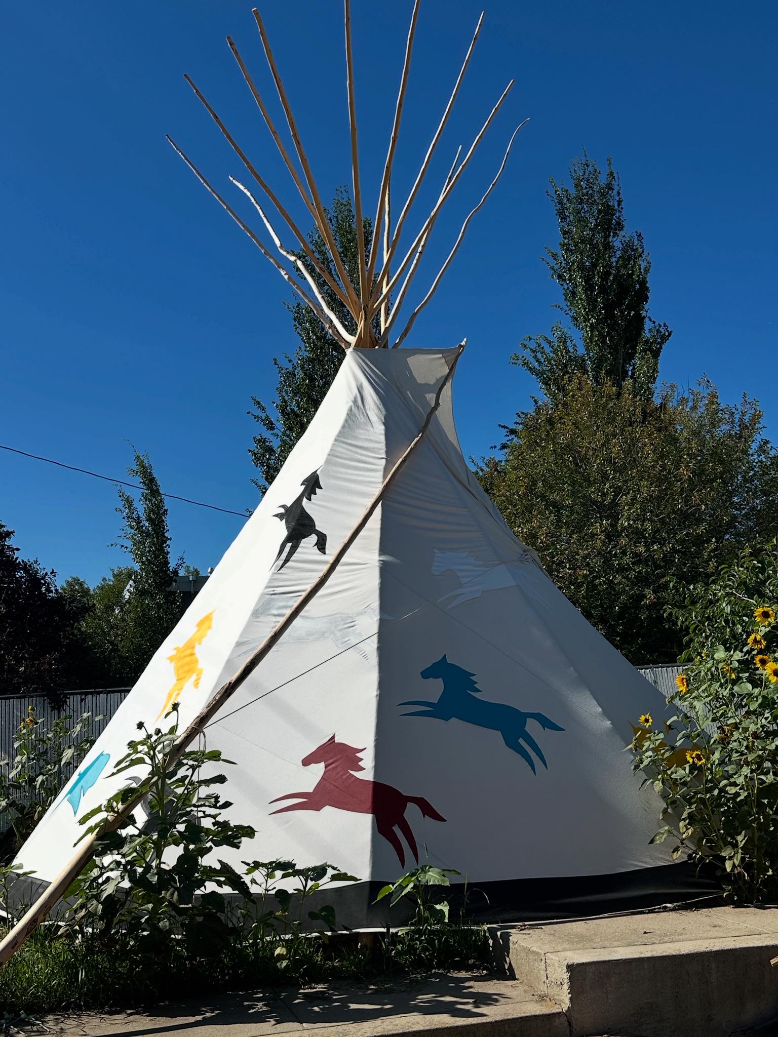 White Horse Rider Tepee Project Kick Off