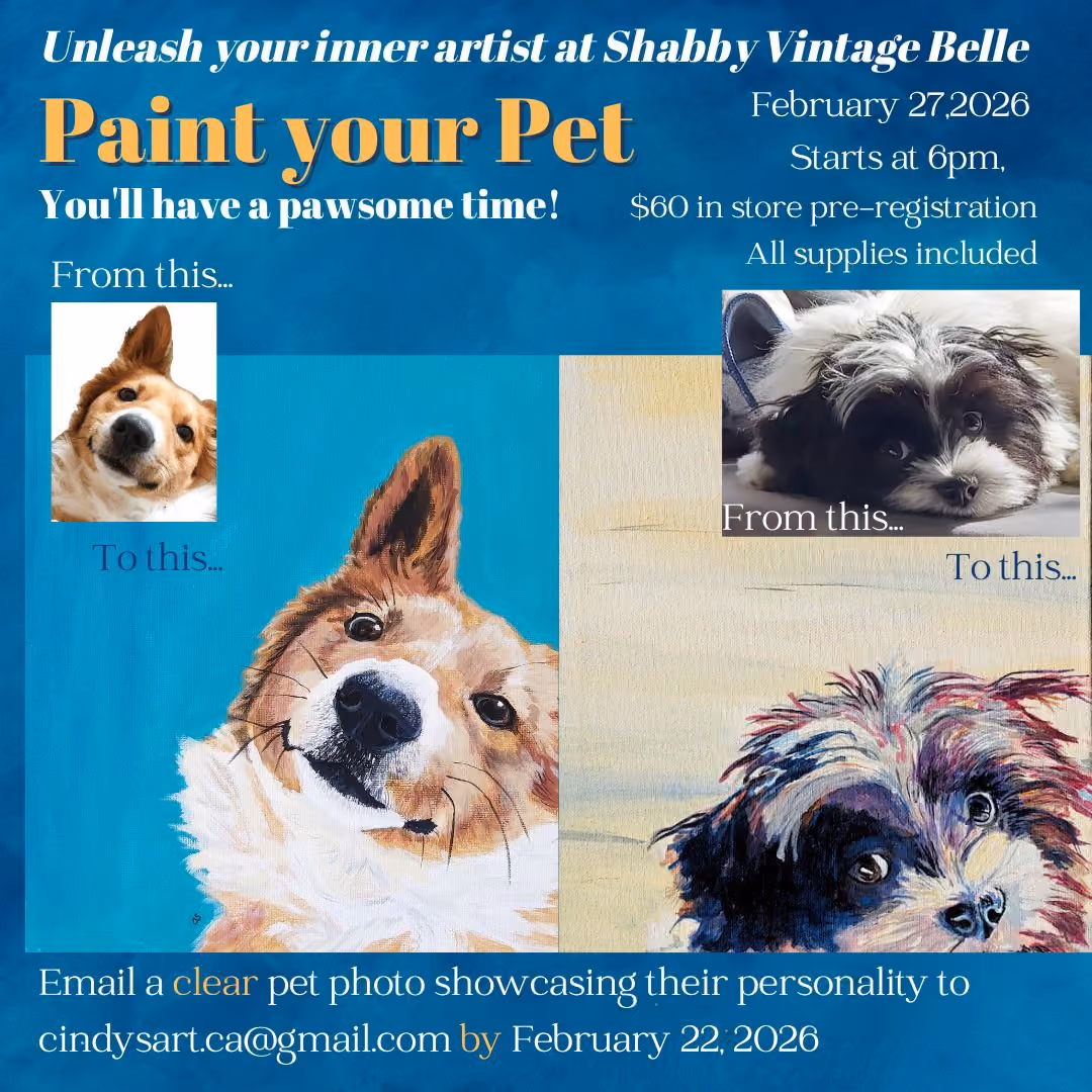 Paint Your Pet