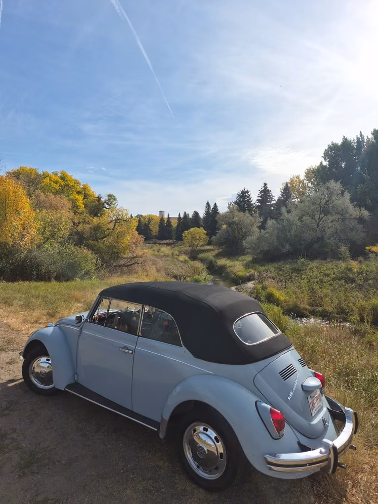 Beetle Mania Monday '26