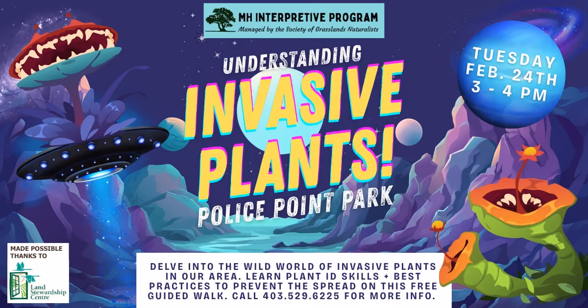 Understanding Invasive Plant - Free Guided Walk