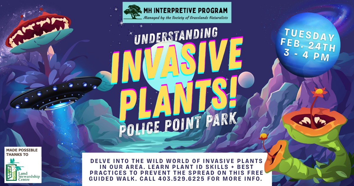 Understanding Invasive Plant - Free Guided Walk