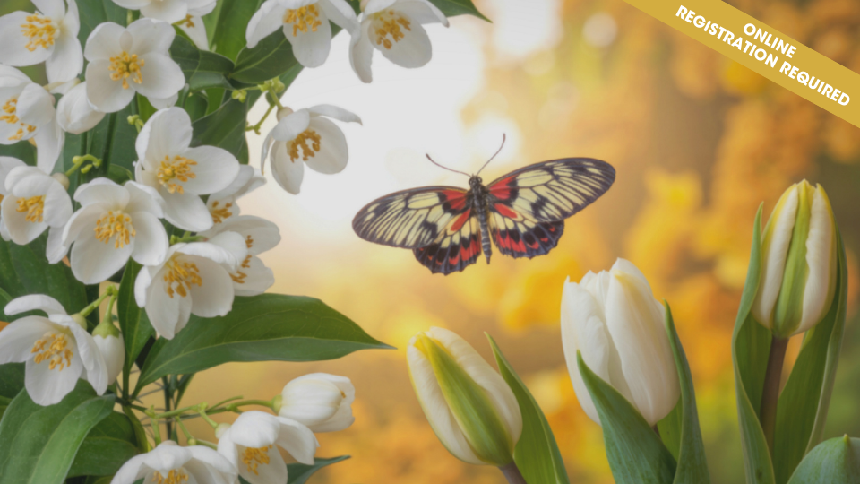 "Hello Spring!" A Blooms & Tunes Storycraft (ages 4-6)