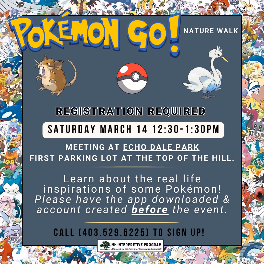 Pokémon Go Nature Walk