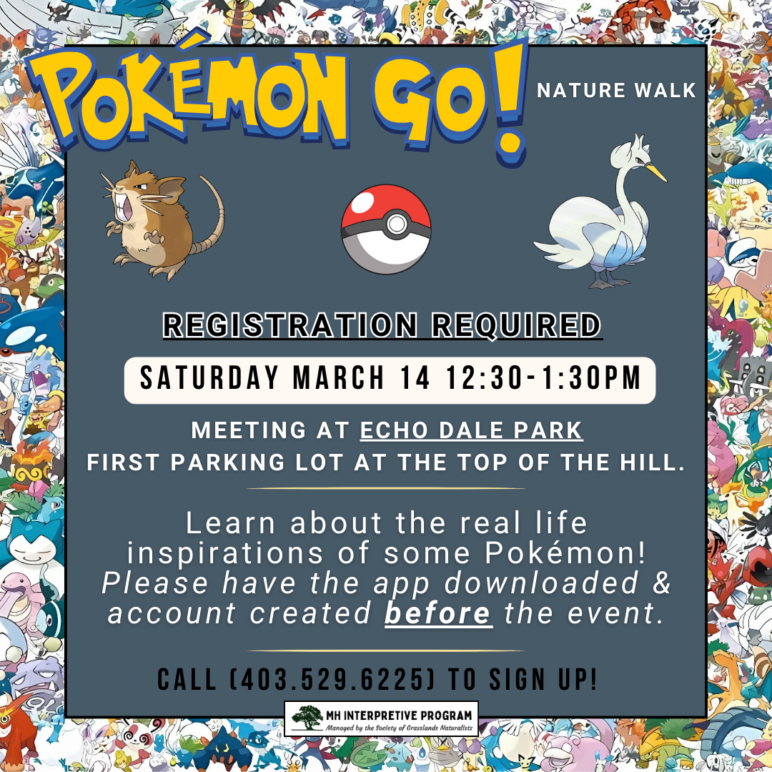 Pokémon Go Nature Walk