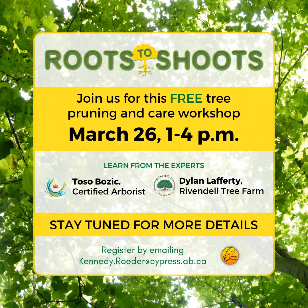 Tree Care Workshop