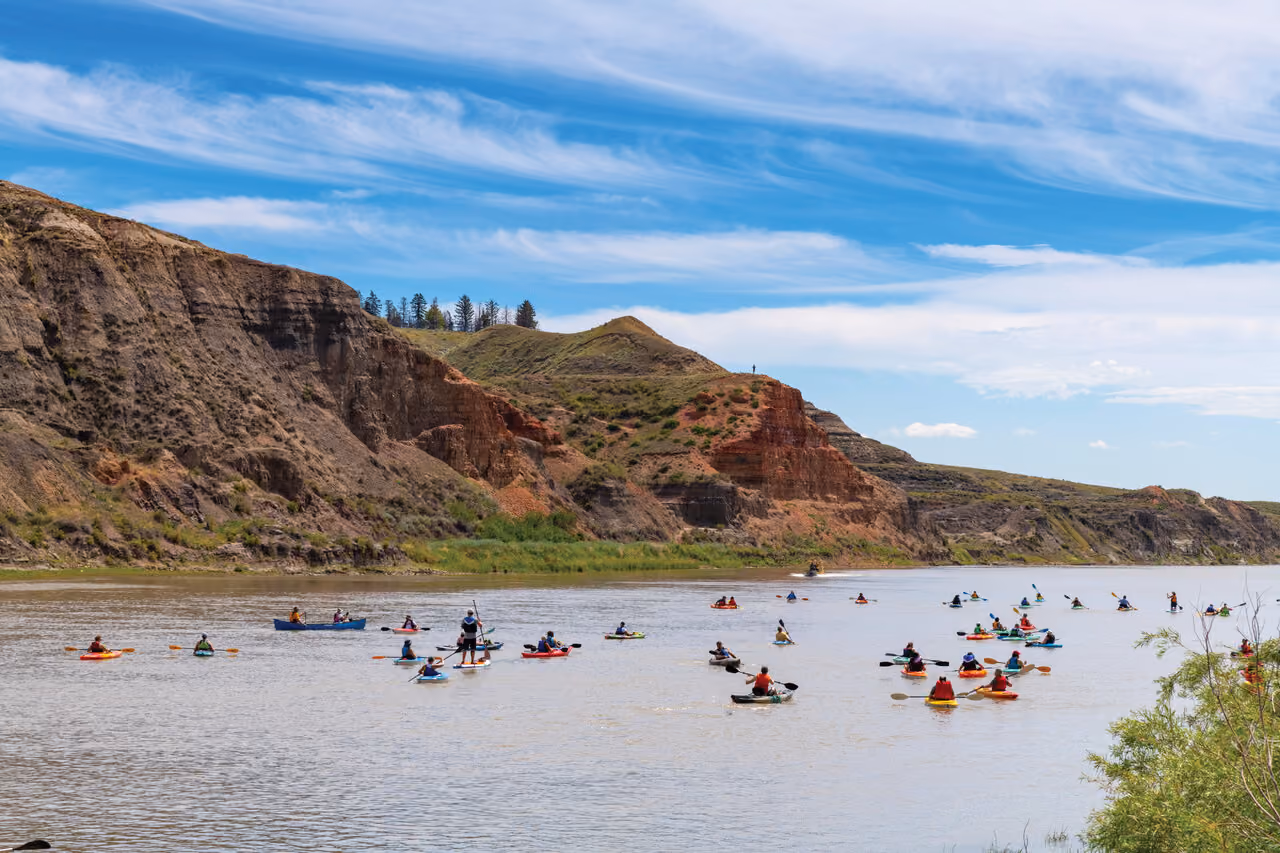 Great Big Paddle