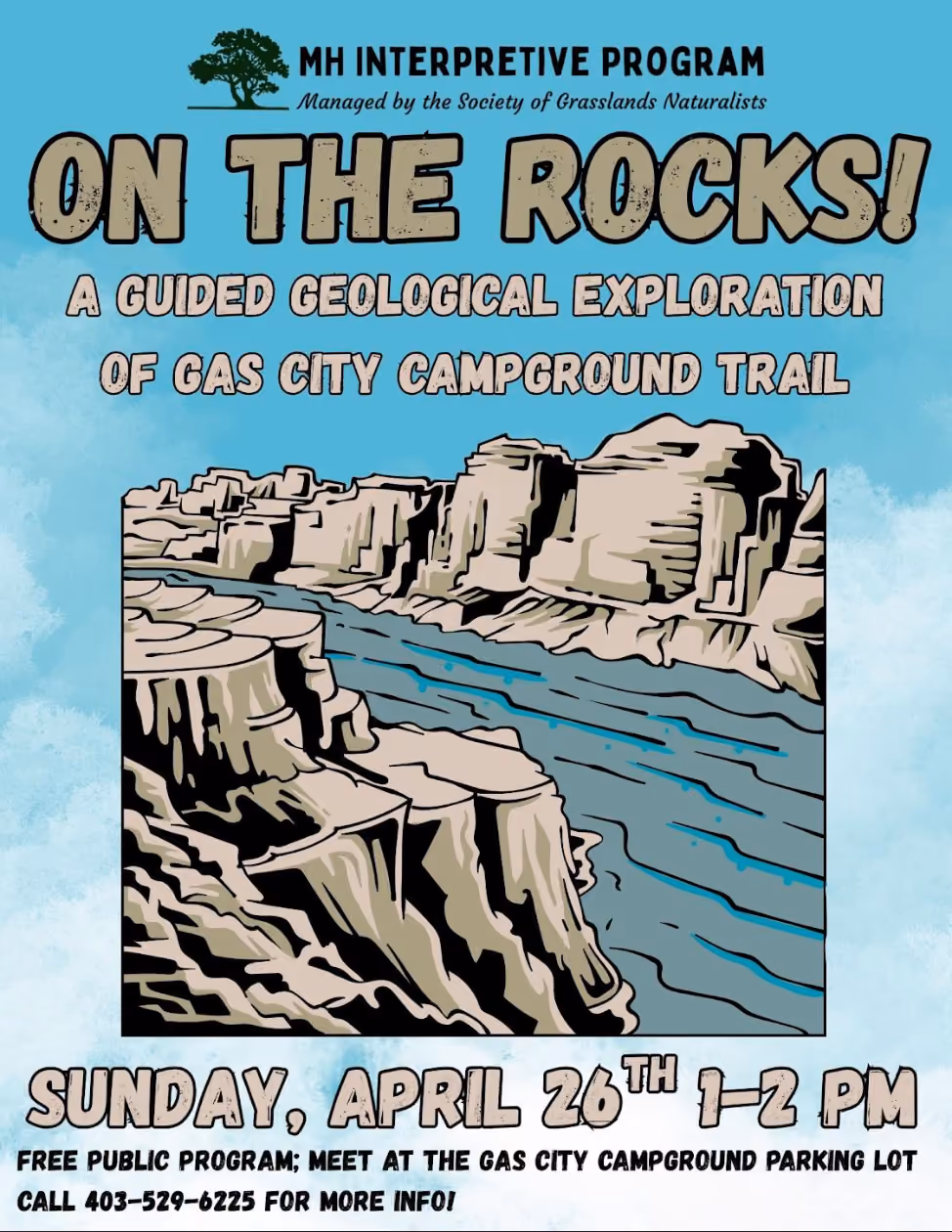 On The Rocks!