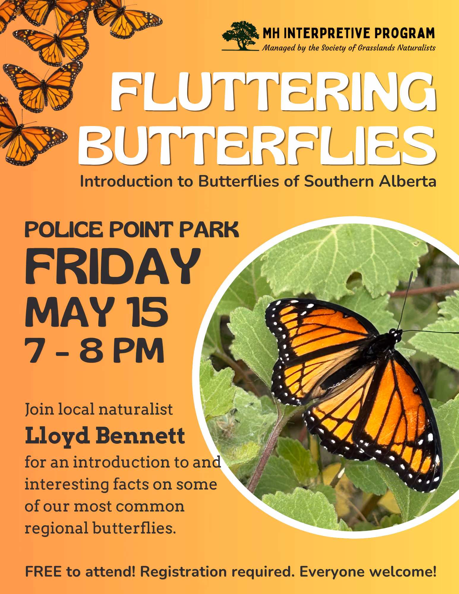 Fluttering Butterflies – An Introduction to Butterflies of Southern Alberta