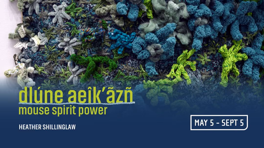dlúne æîk’ãzñ - mouse spirit power | Heather Shillinglaw