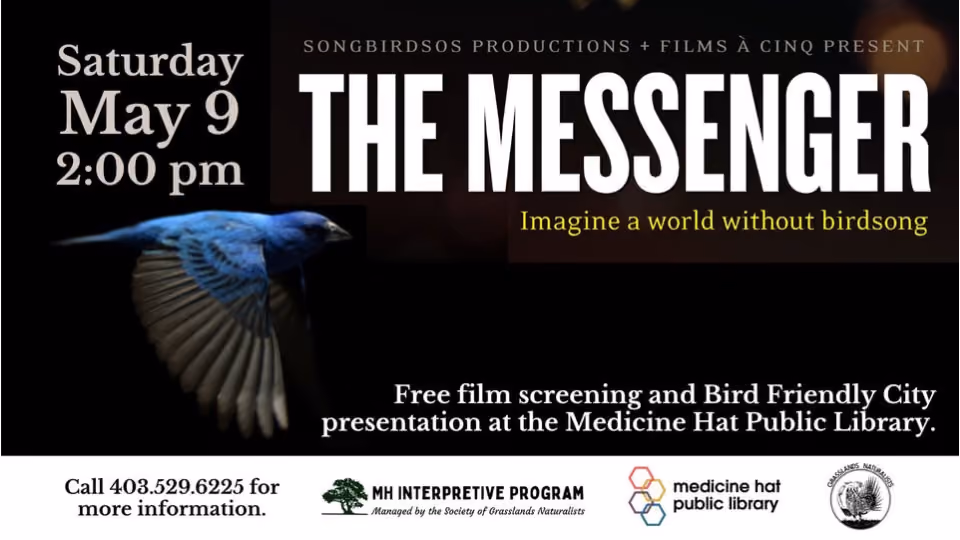 Screening: The Messenger
