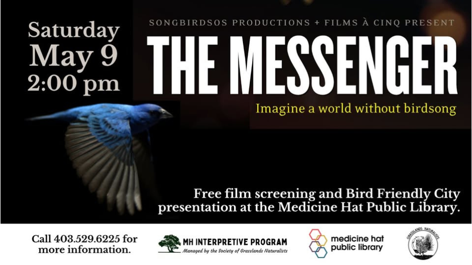 Screening: The Messenger