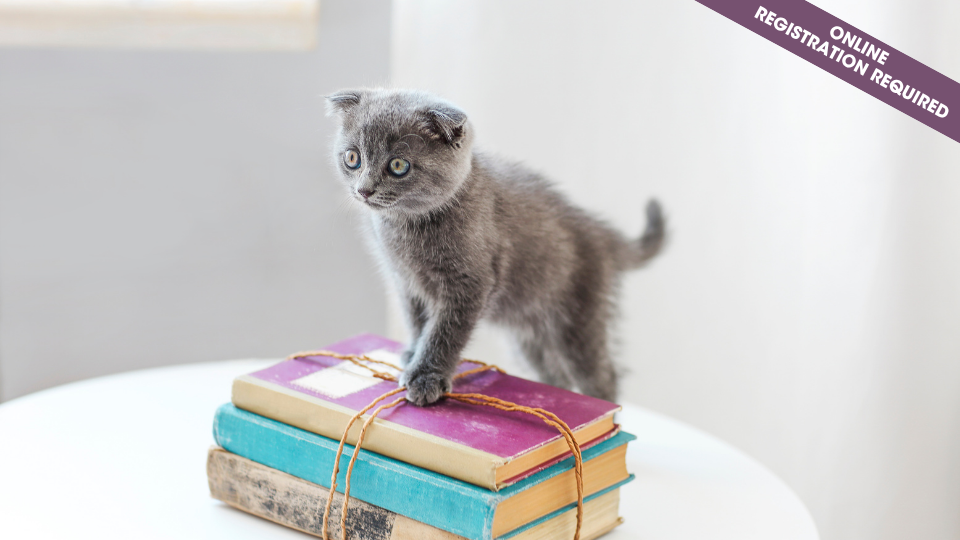Kitty Cat Storycraft (ages 4-6 years)