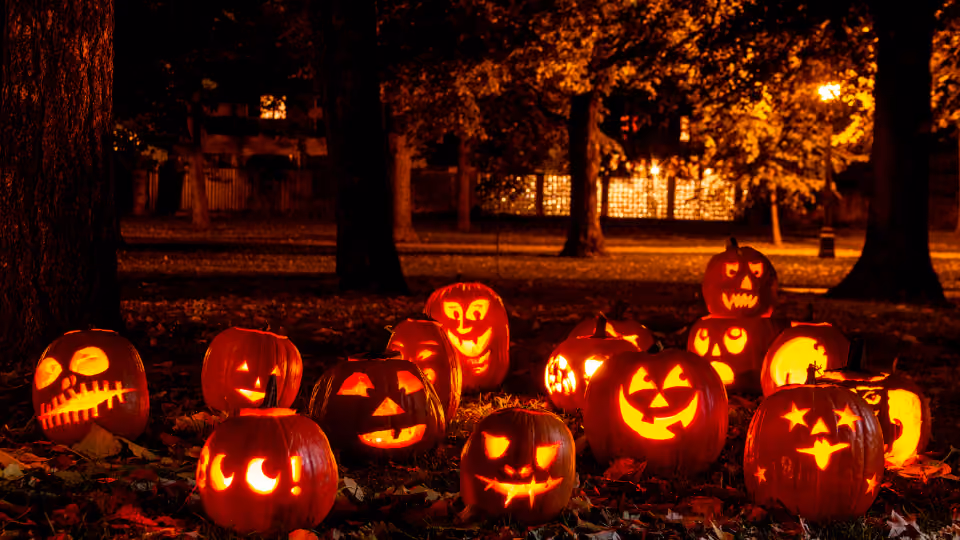 Honeycomb House: Summerween!