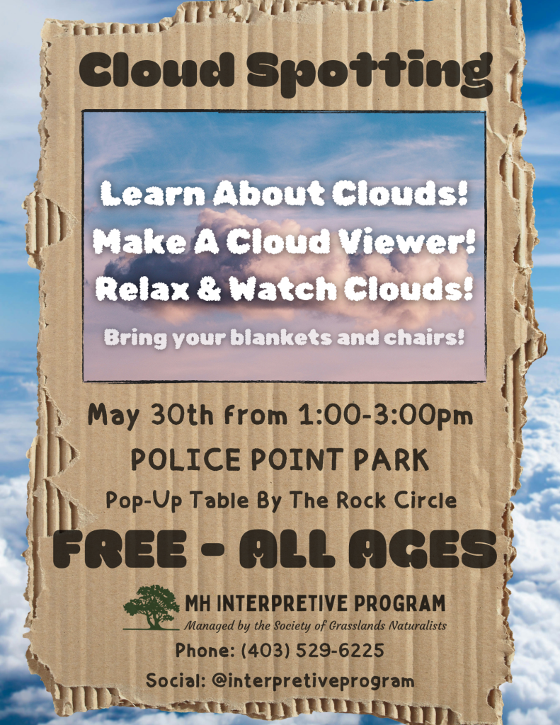 Cloud Spotting | Police Point Park