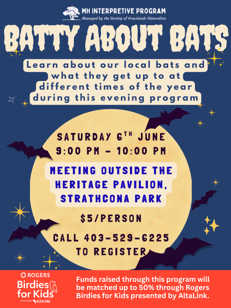 Batty About Bats | Strathcona Park 