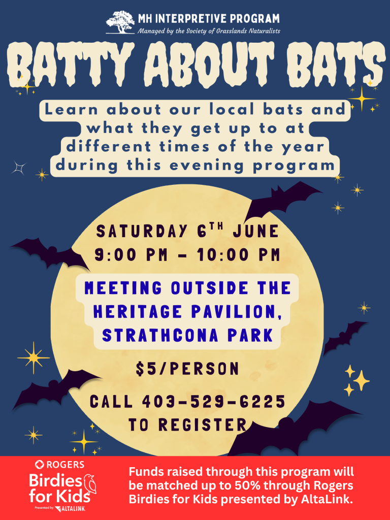 Batty About Bats | Strathcona Park 