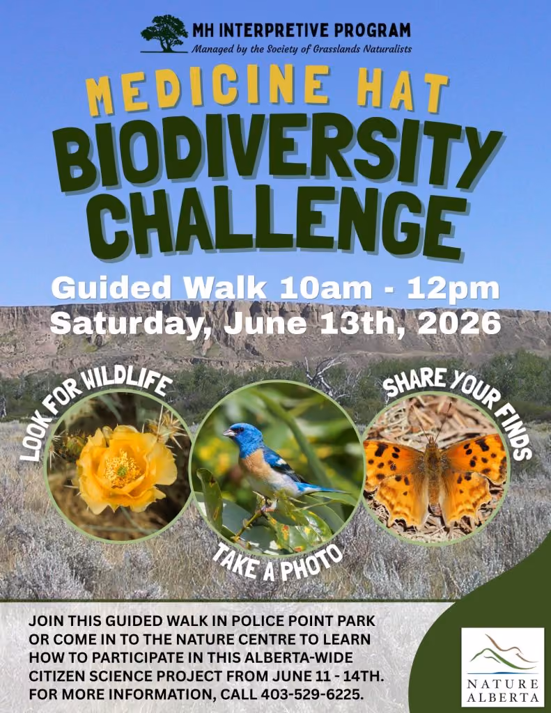 Biodiversity Challenge | Police Point Park