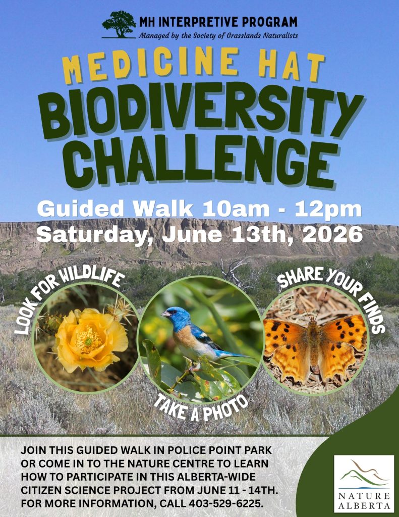 Biodiversity Challenge | Police Point Park