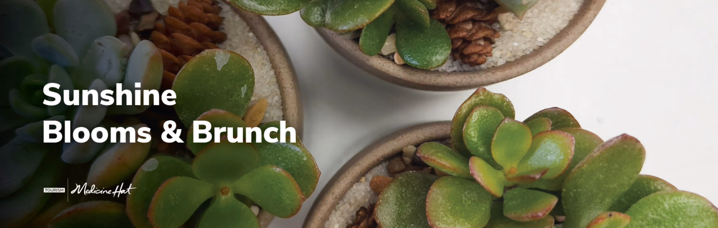 Sunshine Blooms & Brunch | June 6th | Tour 1