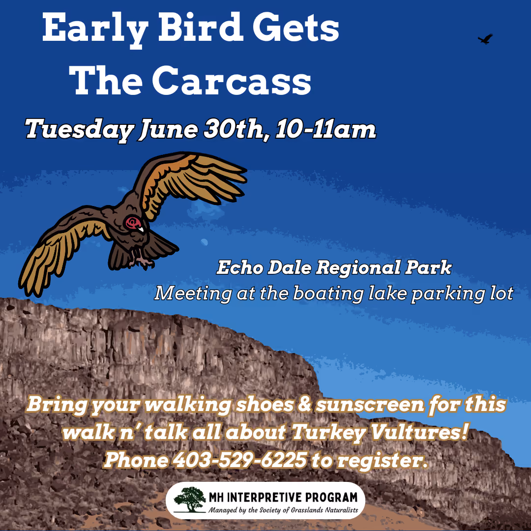 Early Bird Gets The Carcass