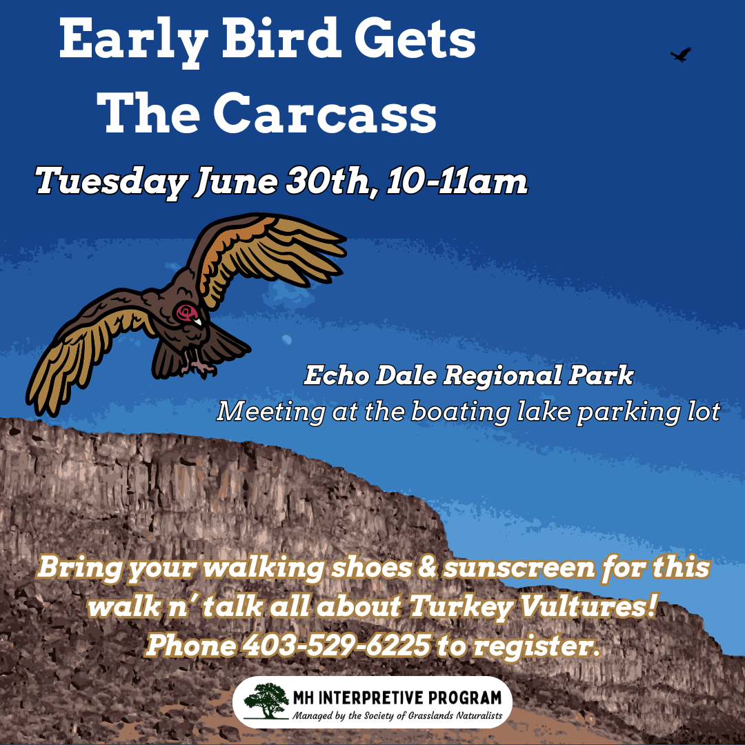 Early Bird Gets The Carcass