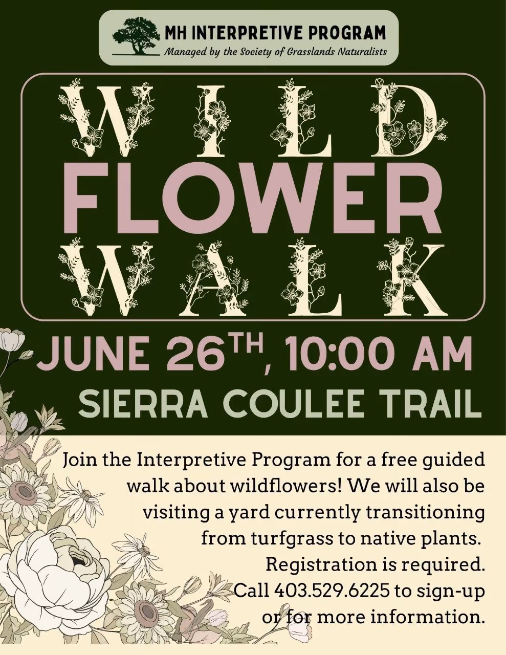 Wild Flower Walk