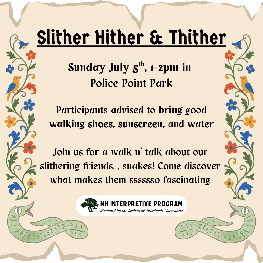 Slither Hither & Thither