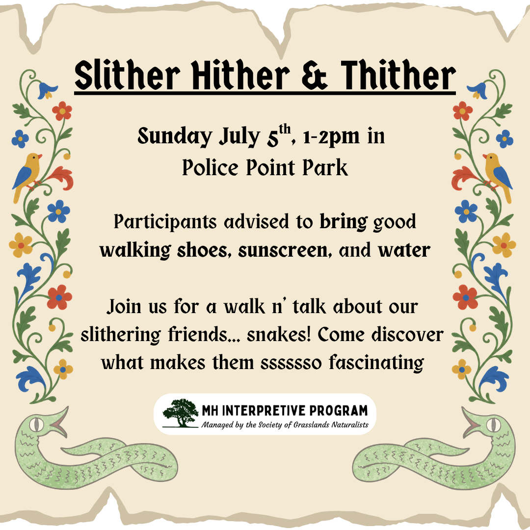 Slither Hither & Thither