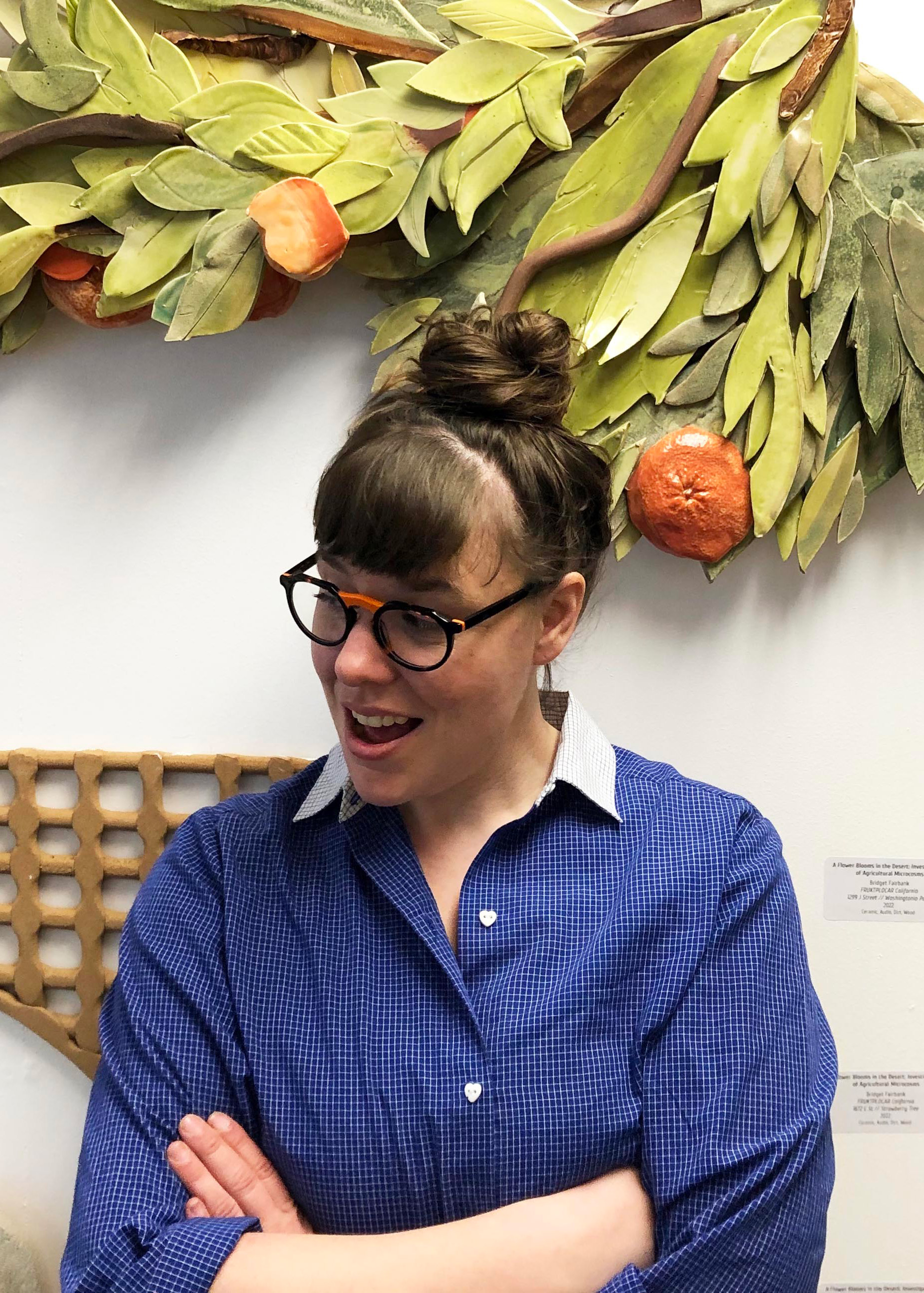 Bridget Fairbank Artist Talk