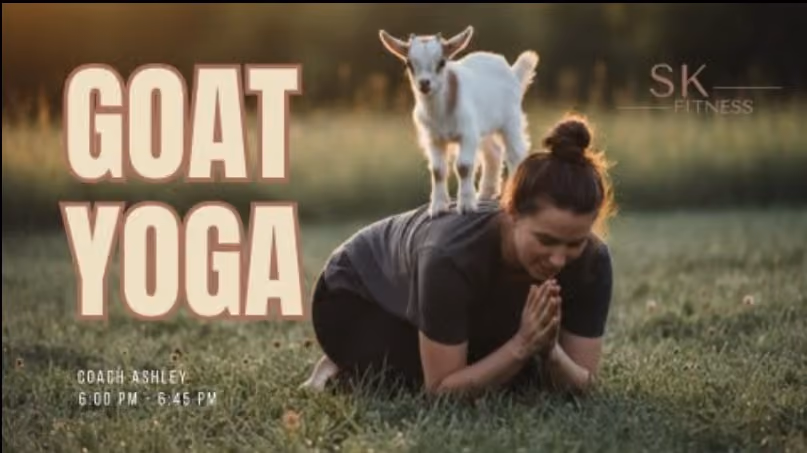 Goat Yoga 