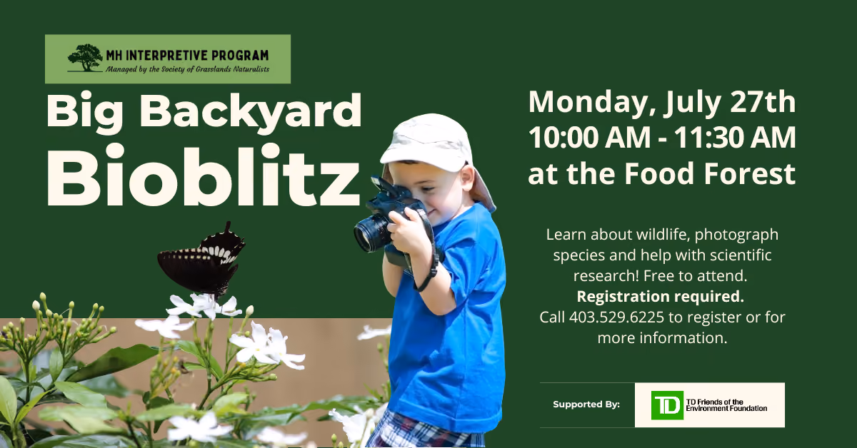 Big Backyard Bioblitz
