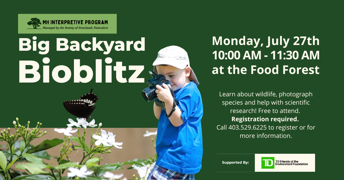 Big Backyard Bioblitz
