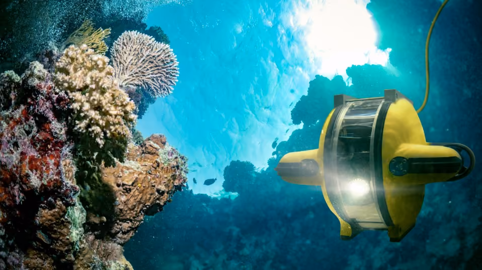 Deep Sea Scavenger Hunt (ages 12 and under)