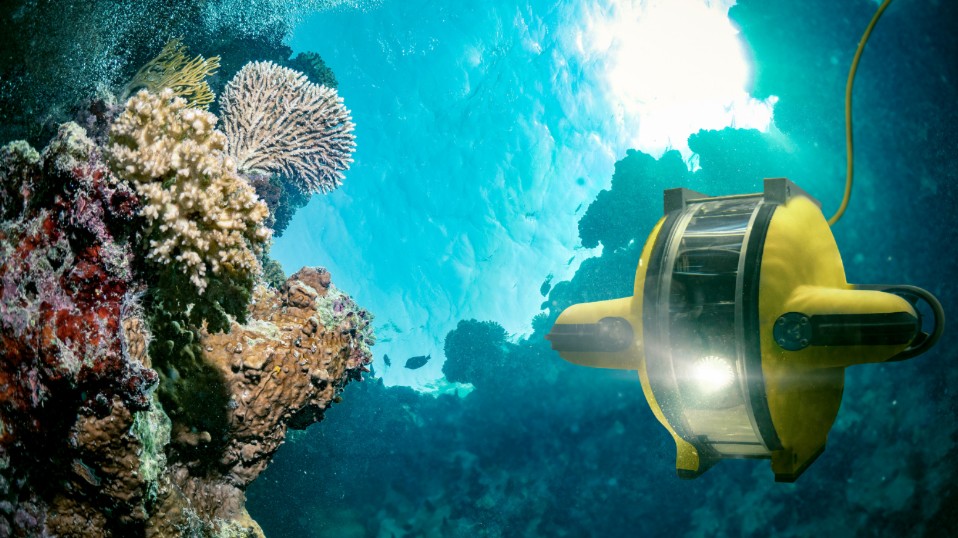 Deep Sea Scavenger Hunt (ages 12 and under)
