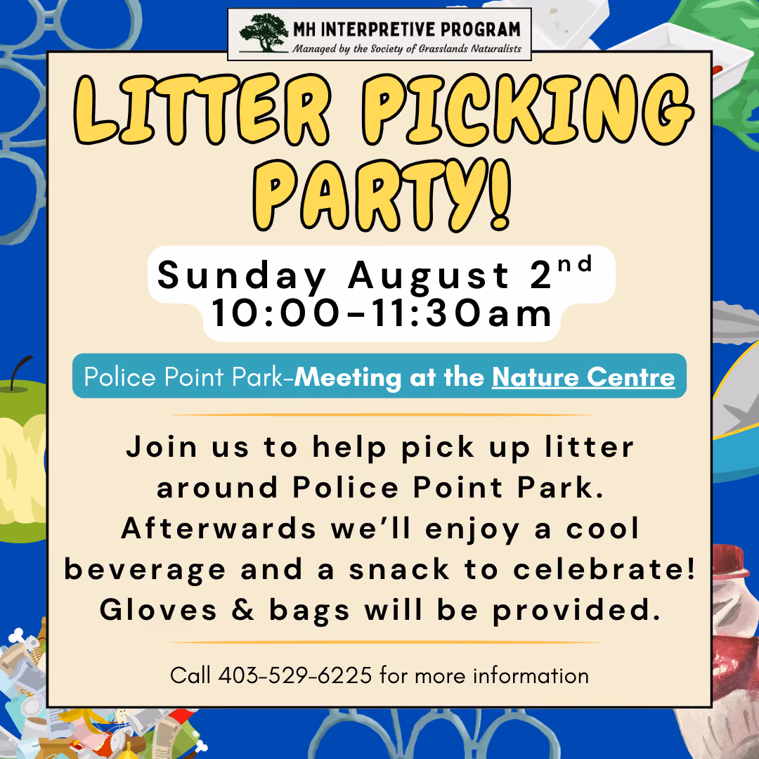 Litter Picking Party