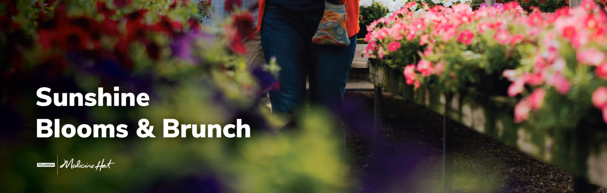 Sunshine Blooms & Brunch | September 12th
