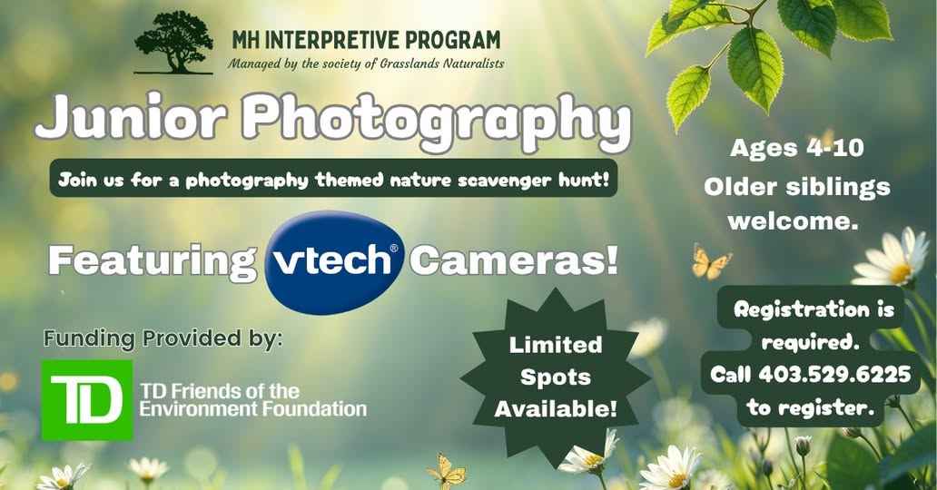 Junior Photography