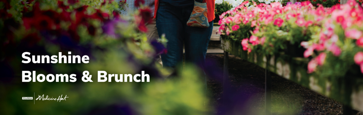 Sunshine Blooms & Brunch