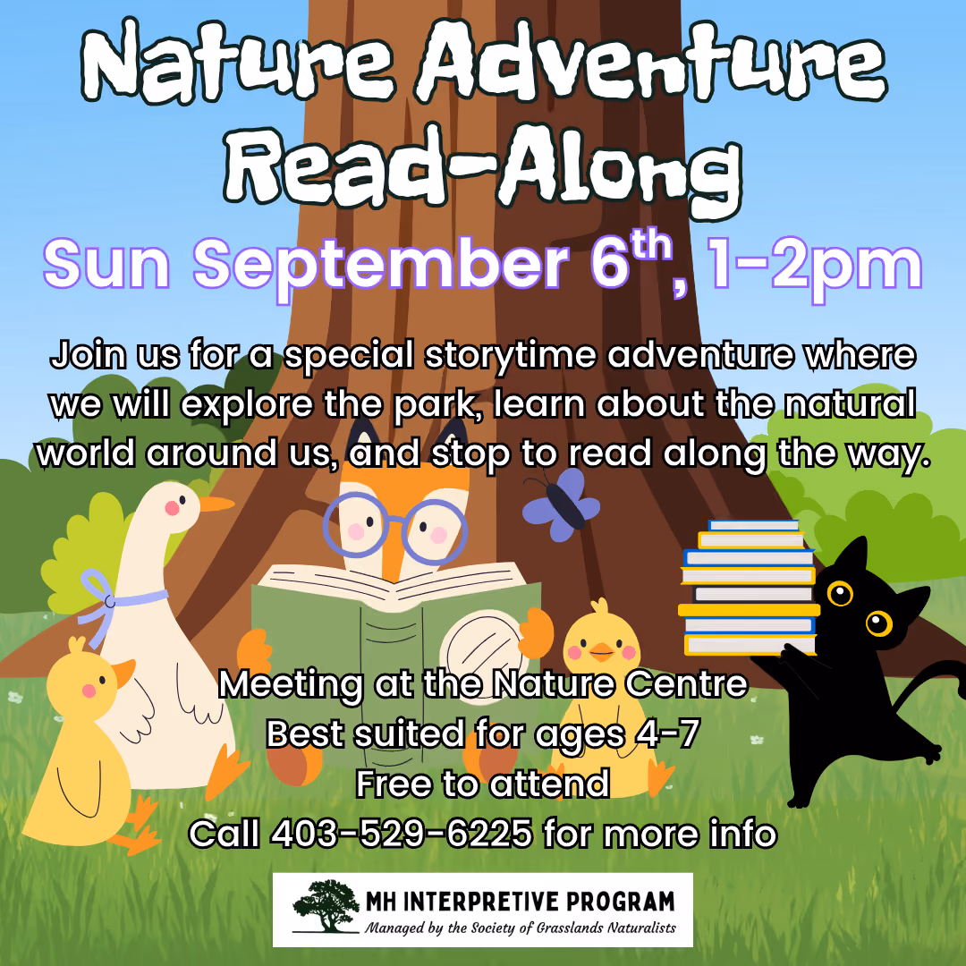 Nature Adventure Read-Along