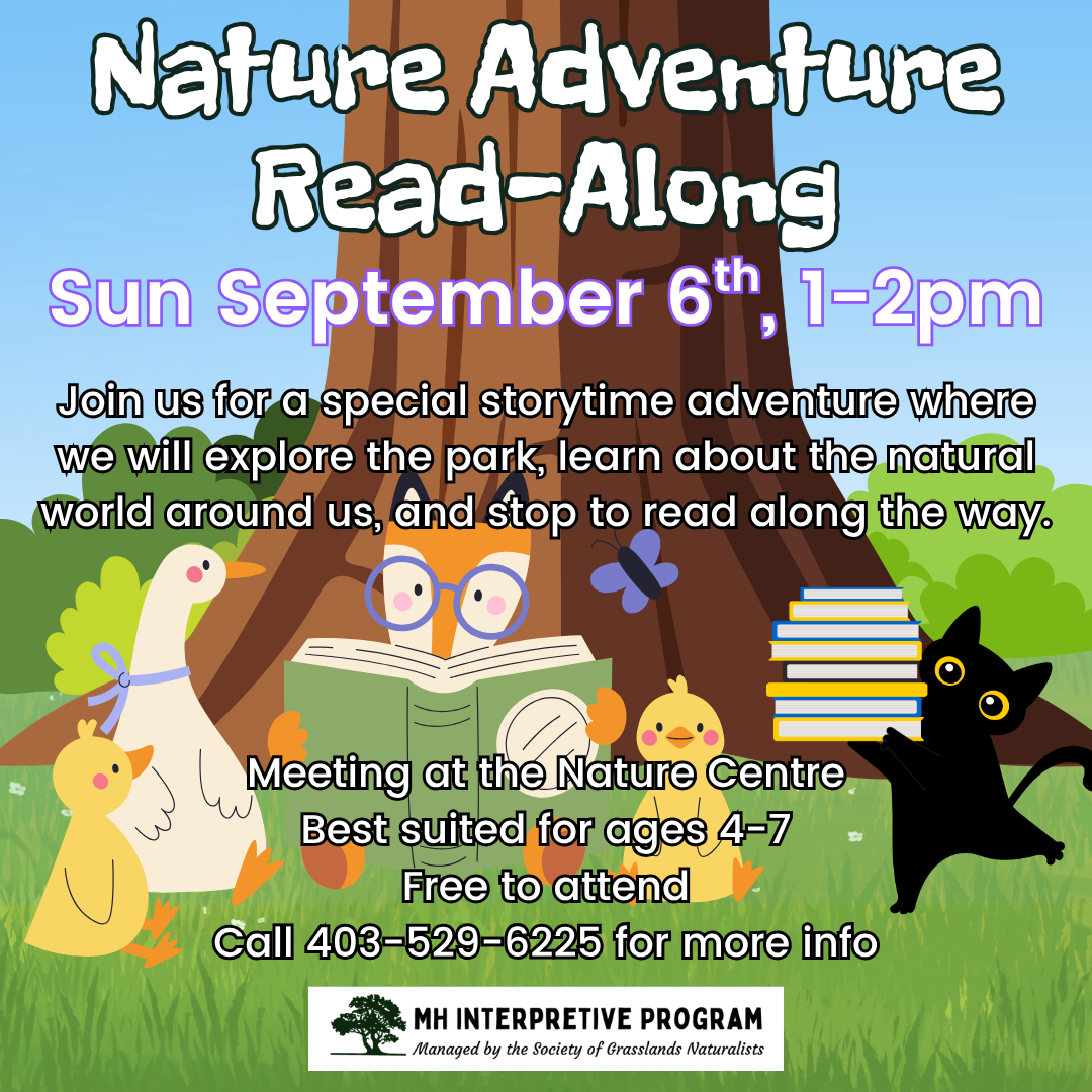 Nature Adventure Read-Along