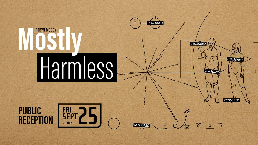 Public Reception for Mostly Harmless